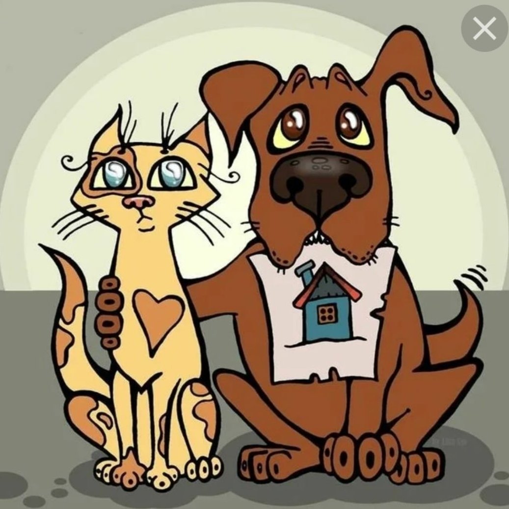 Асадов дворняга