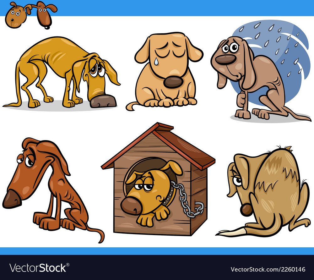 Бездомные животные на белом фоне