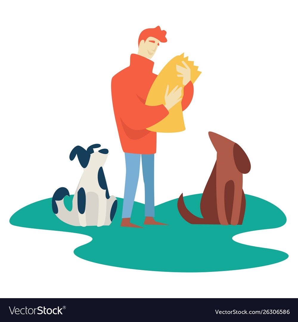 Кошки и собаки