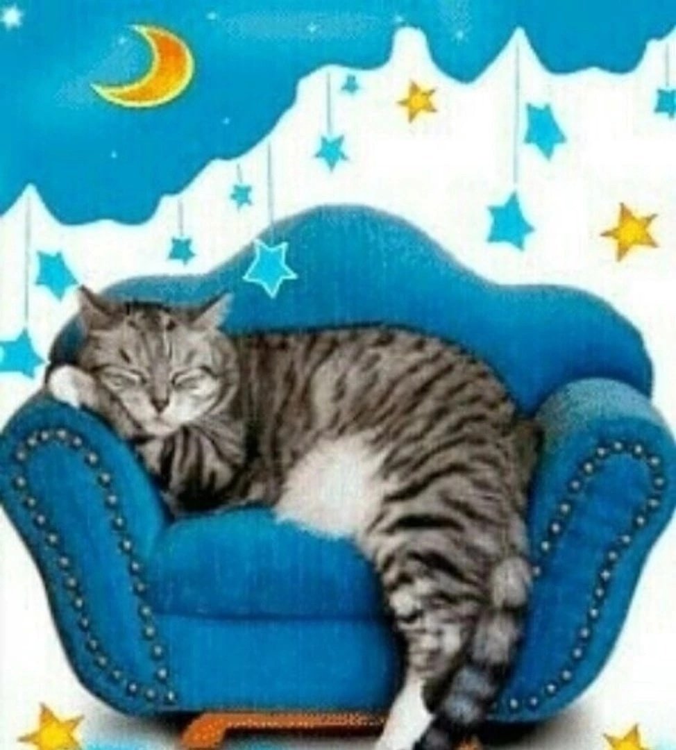 картинки спокойной ночи красивые с котенком