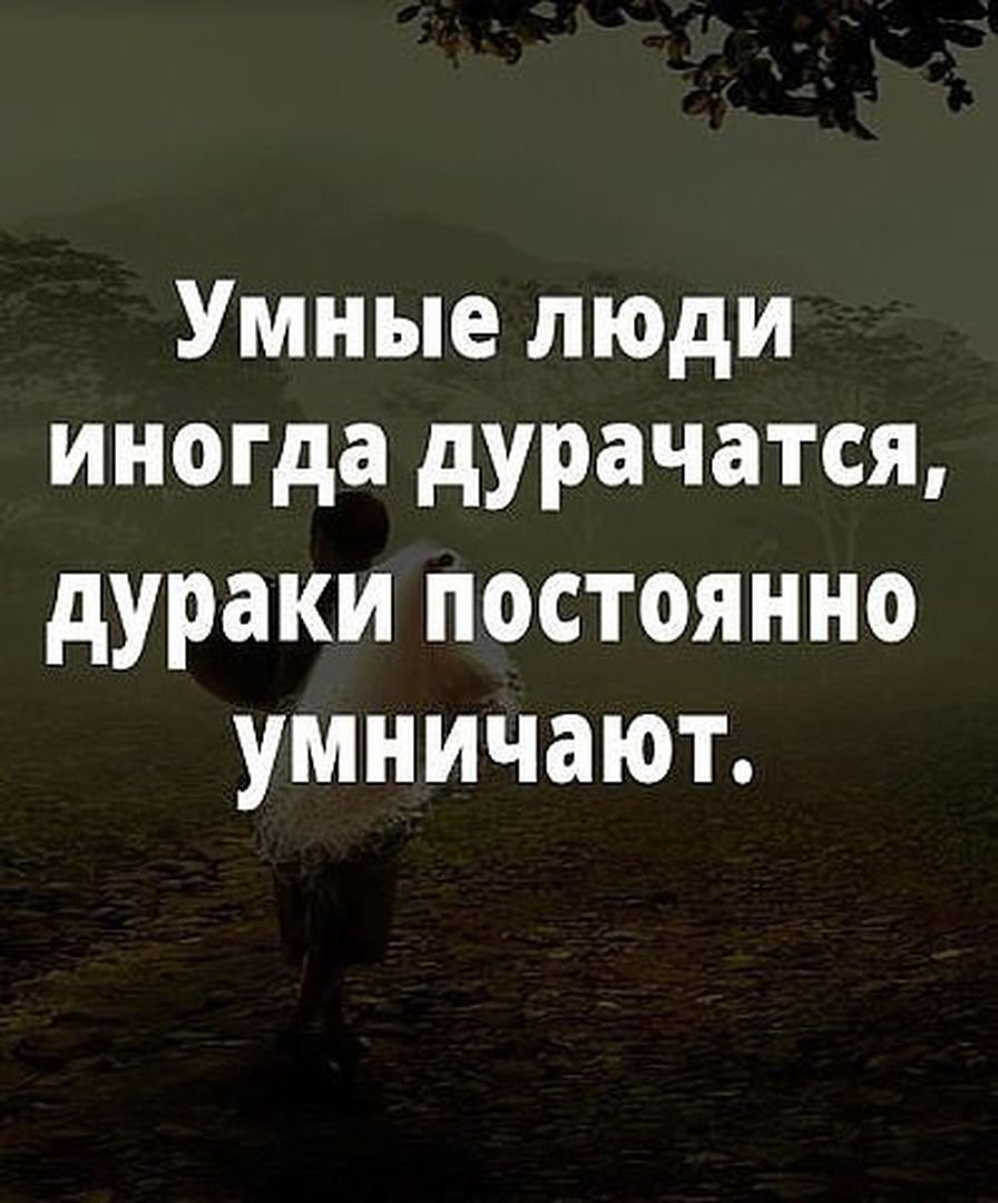 Умные высказывания