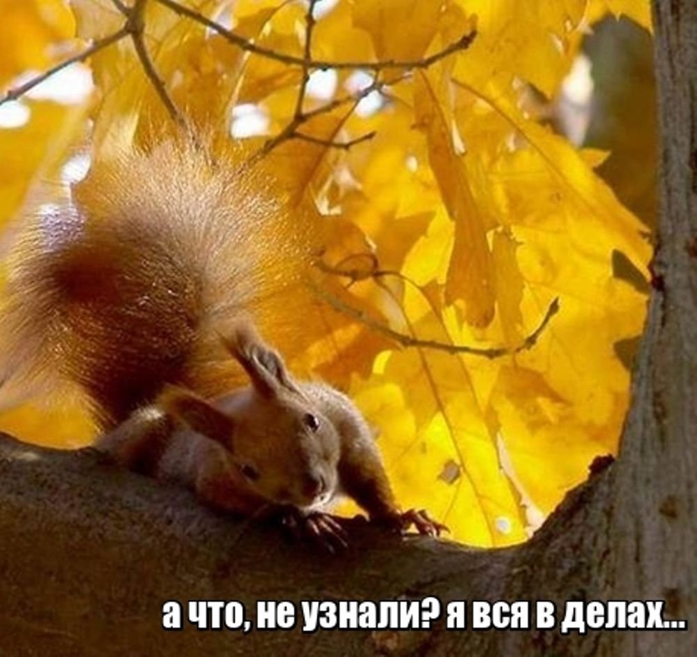 Тёплая осень