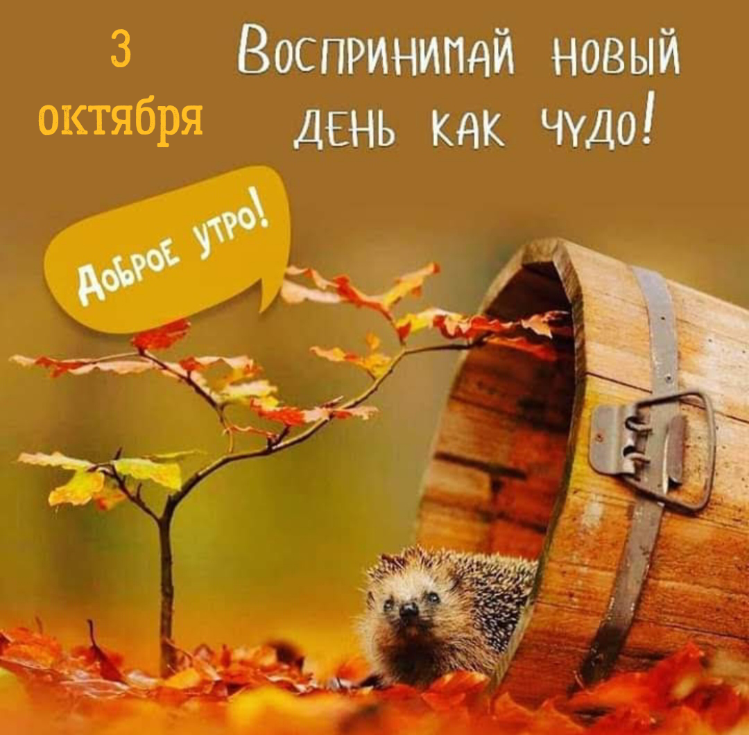 Открытки с добрым утром пятницы осенние