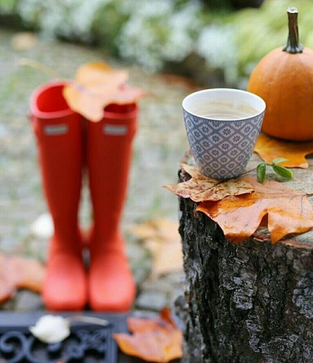 Пятничная осень