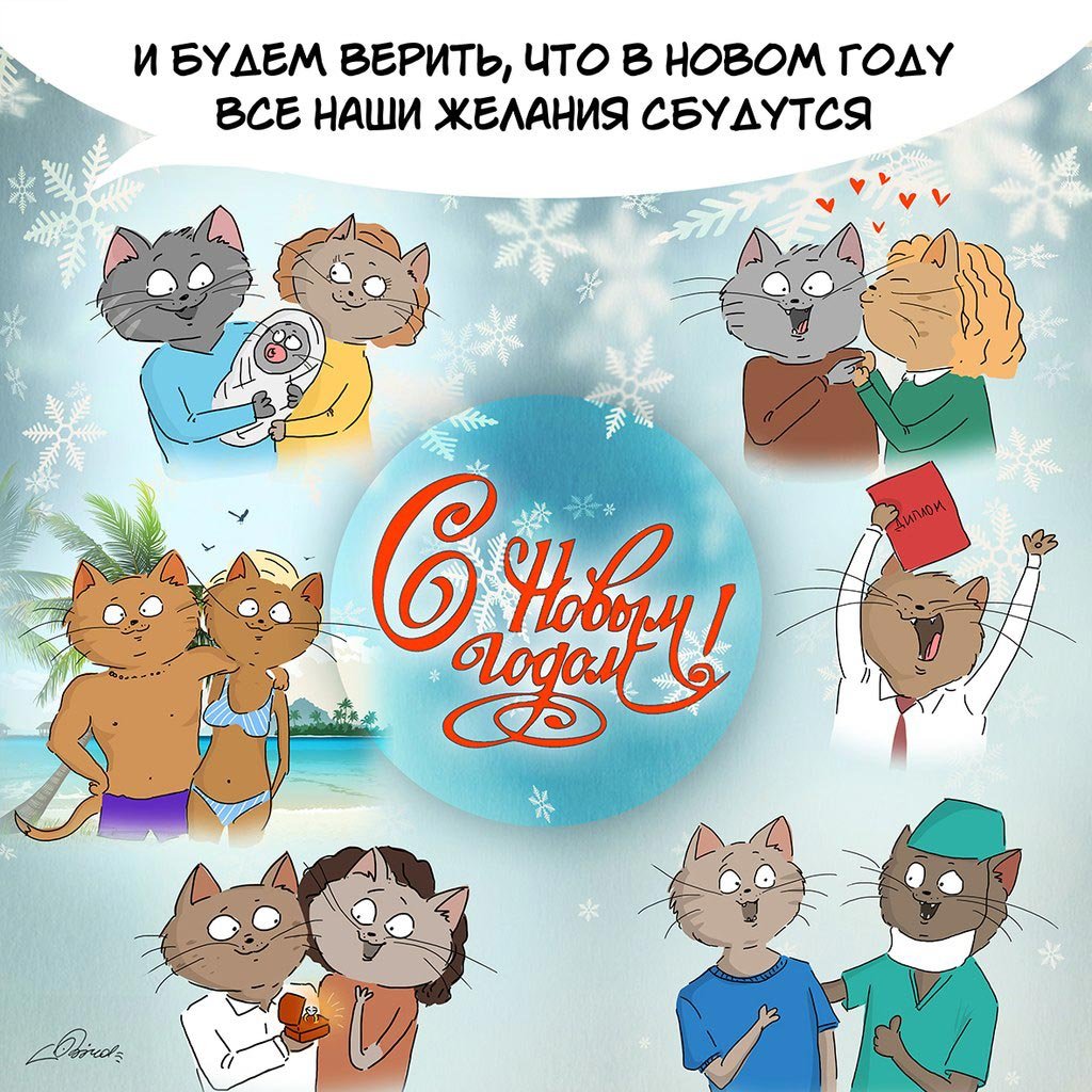 Bird born коты новый год