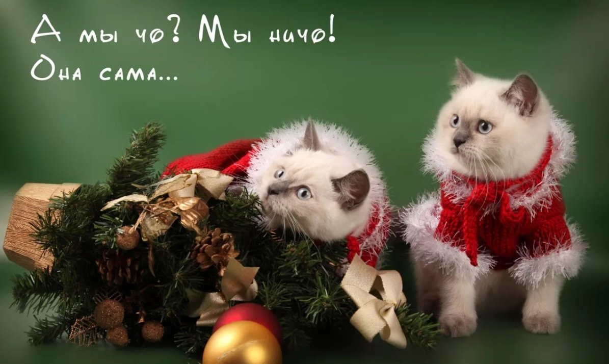 Поздравление со старым новым годом прикольные