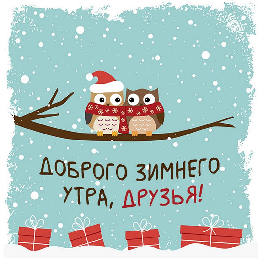 Белка ши новый год