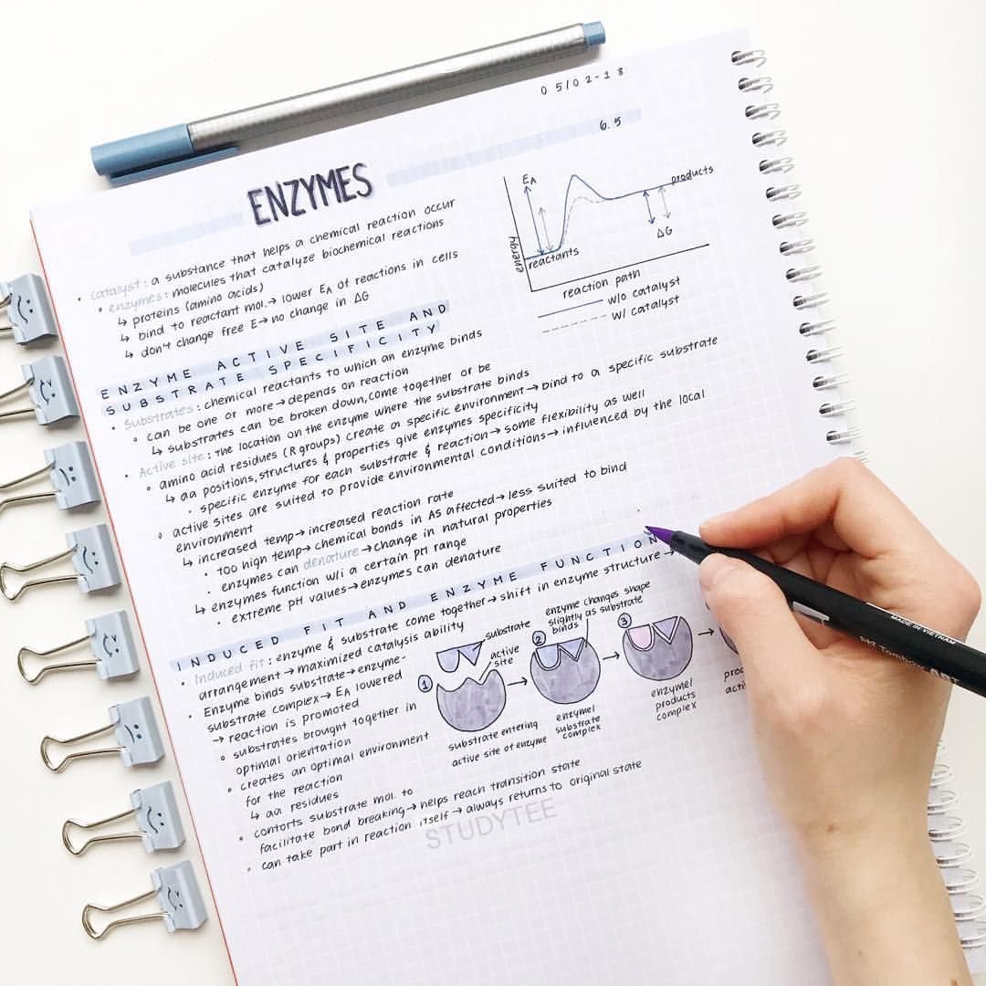 Красивое оформление конспектов