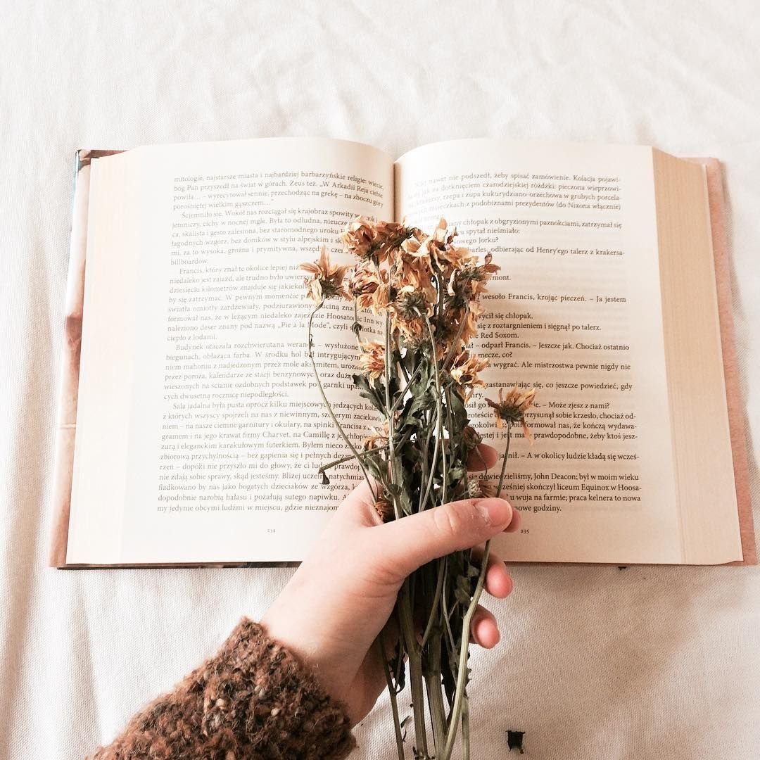 Заставка на рабочий стол учеба