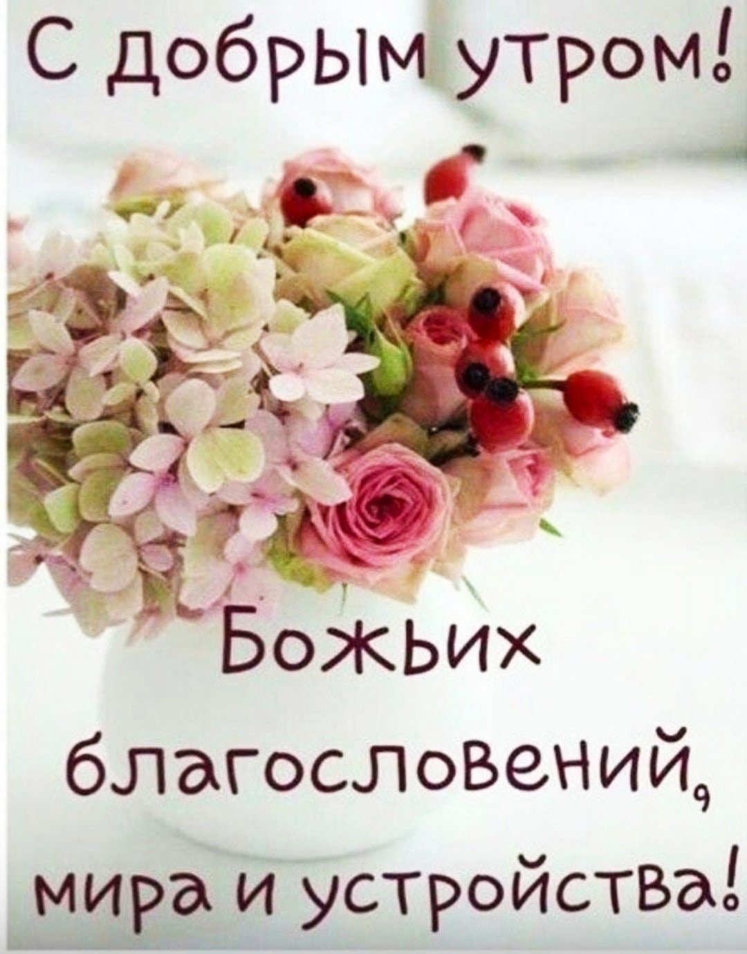 Доброе субботнее утро