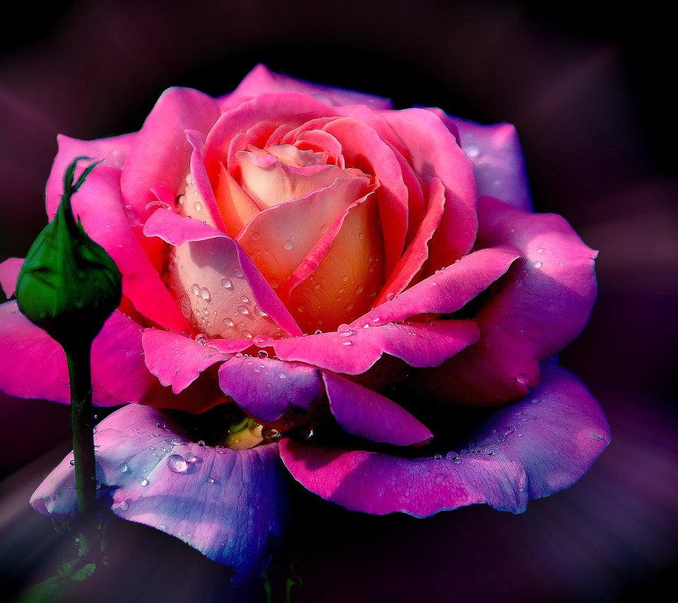 Открытки с добрым субботним утром