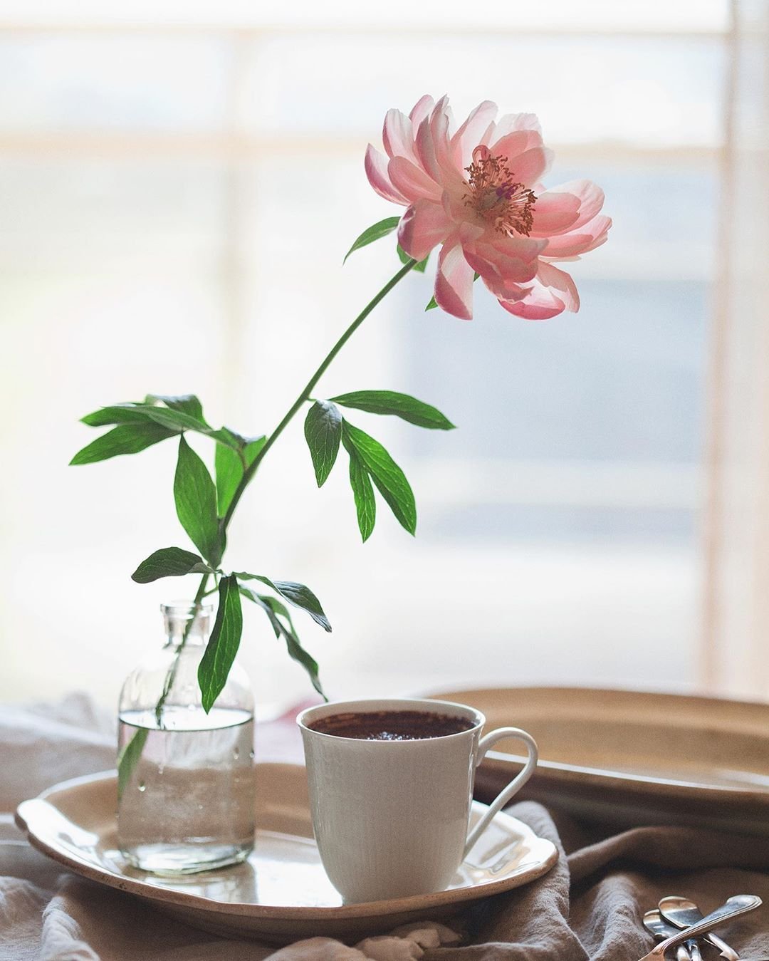 Благословенного утра и прекрасного дня