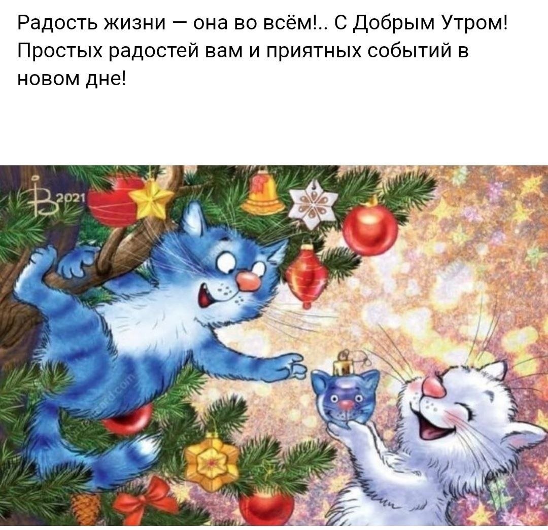 Коты Ирины Зенюк 2021