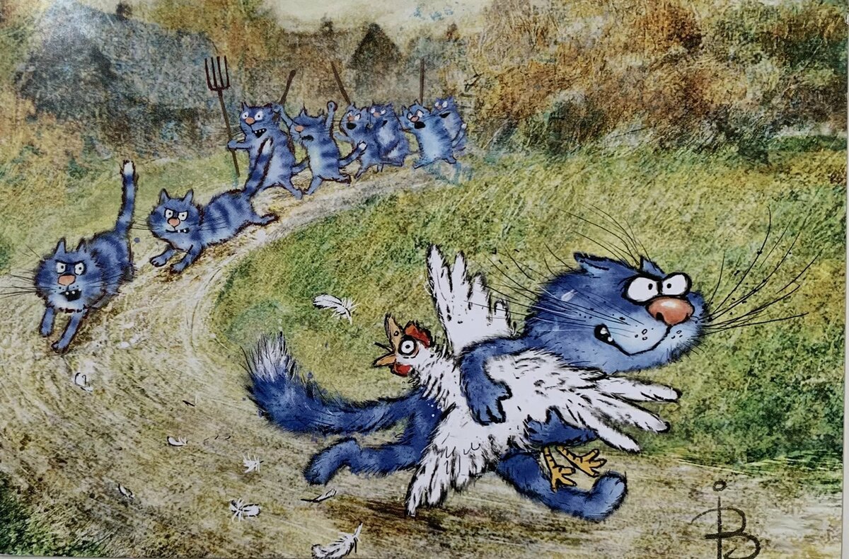 Коты Ирины Зенюк Петербург