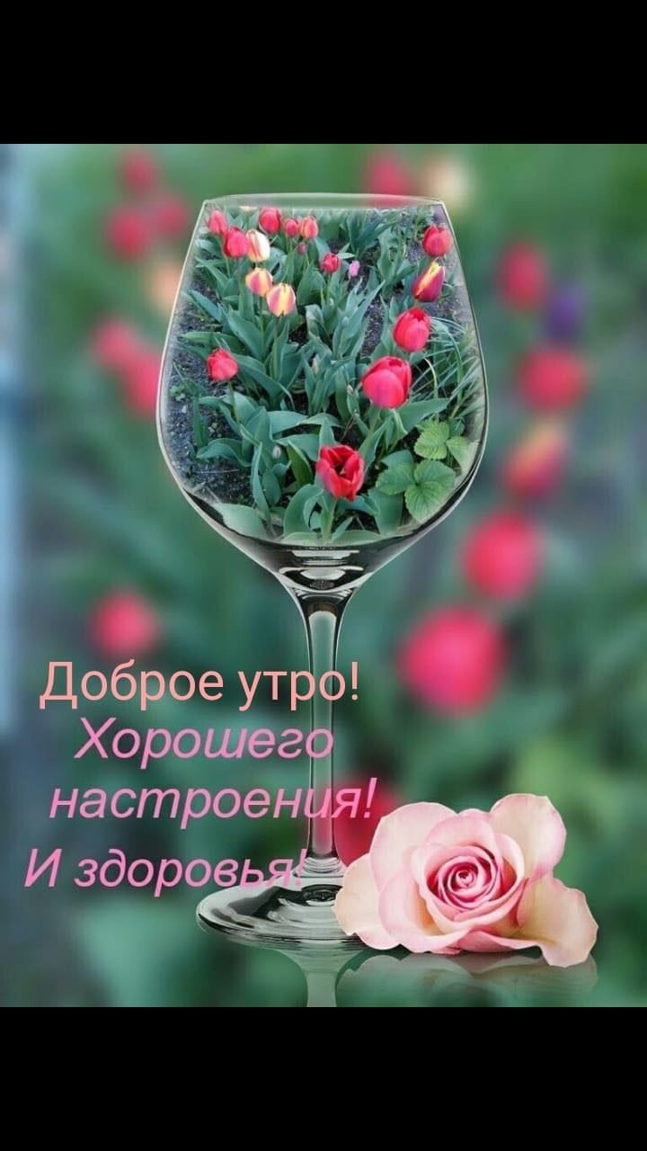 Скорейшего выздоровления