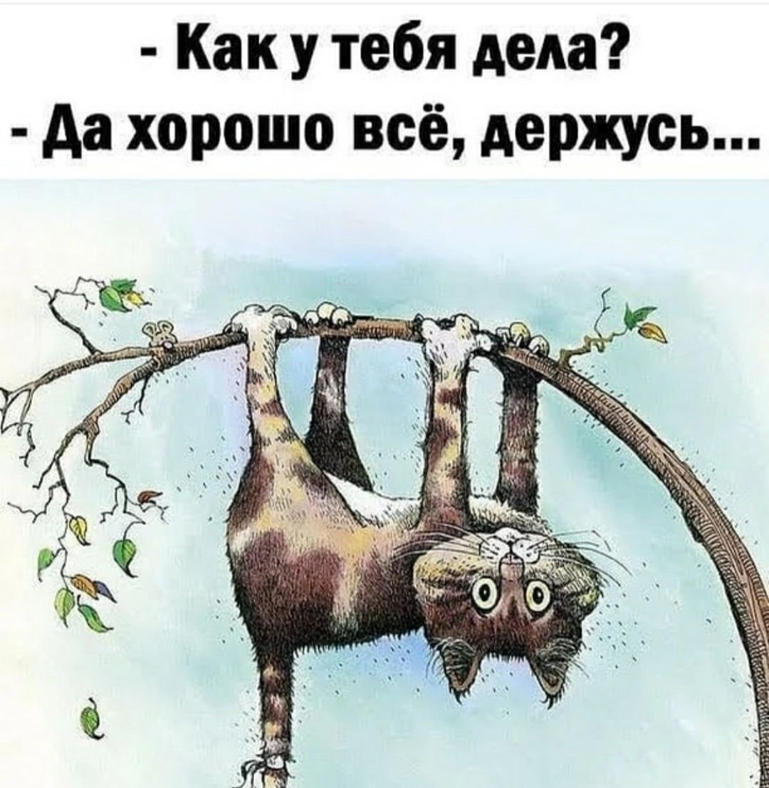 Держитесь картинки