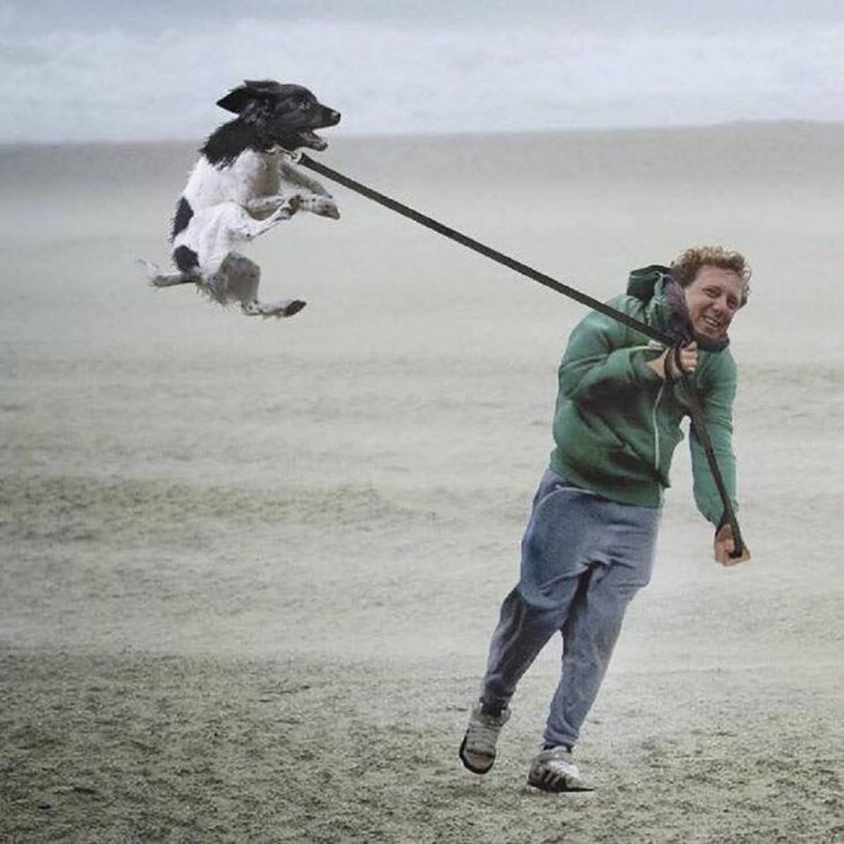 Сильный ветер прикол