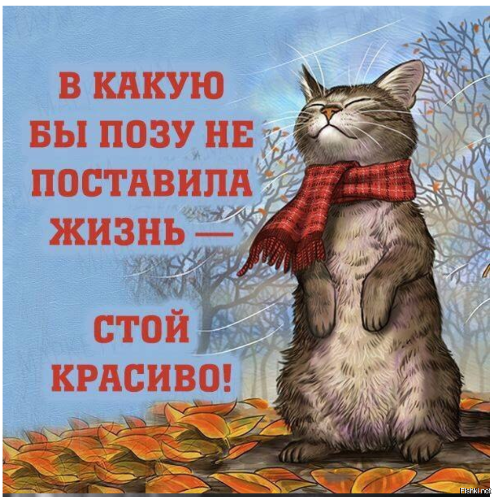 Открытка держись