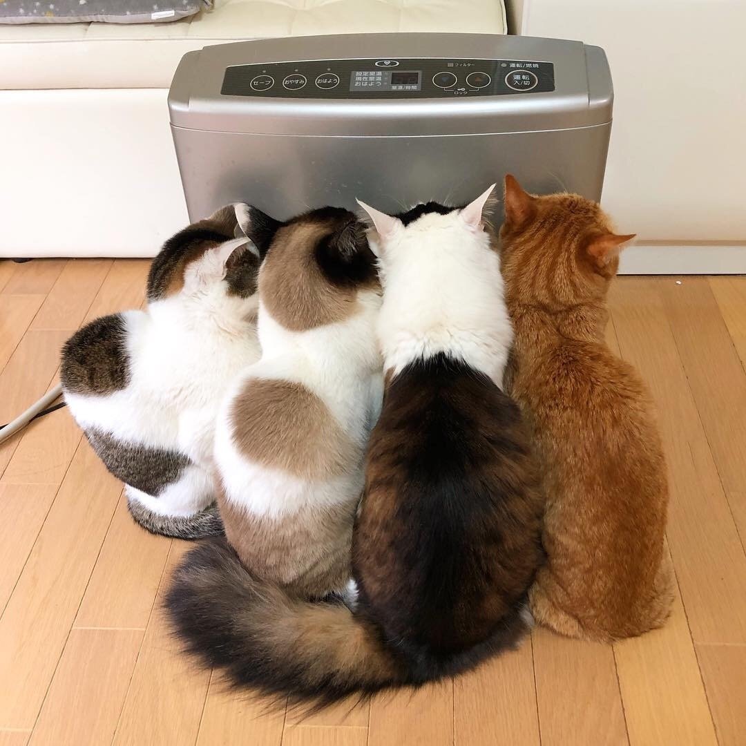 Батарея тепло