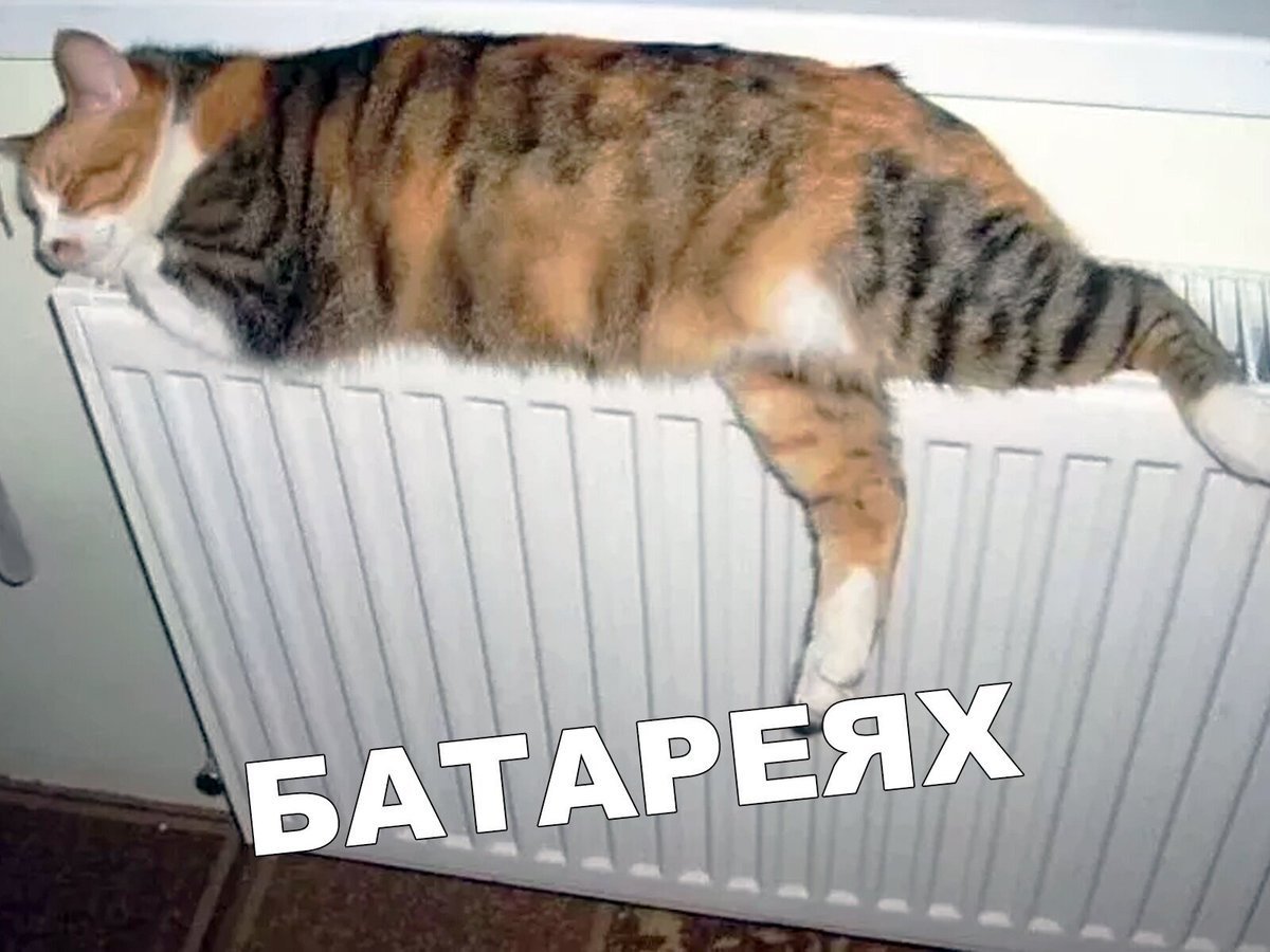 Котенок на батарее