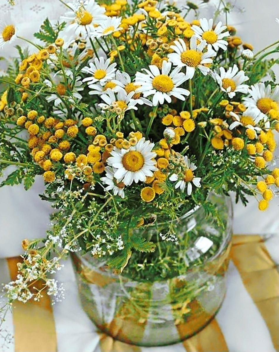 Композиция из полевых цветов