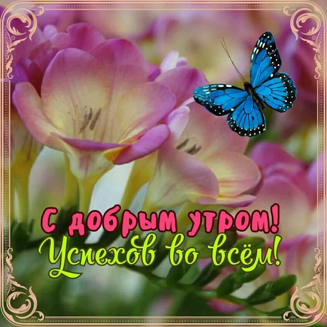 Открытки с добрым воскресным утром