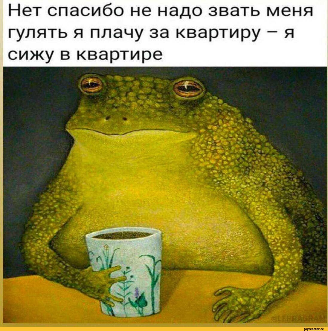 Жаба с чашкой чая