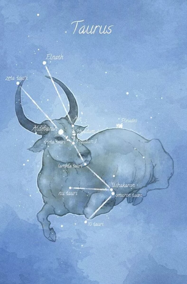 Таурус Созвездие