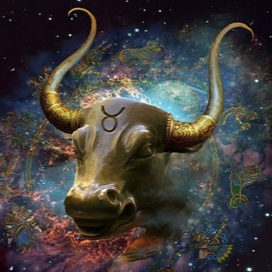 Таурус знак зодиака