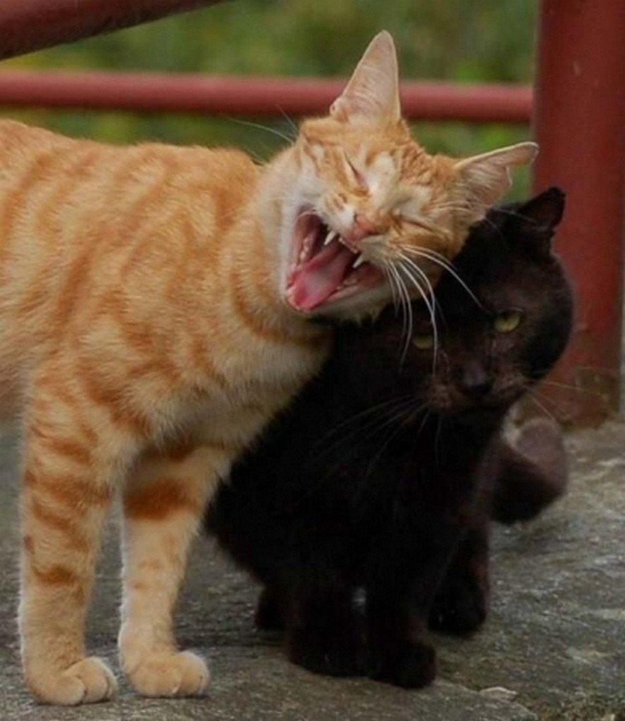 Надпись с возвращением