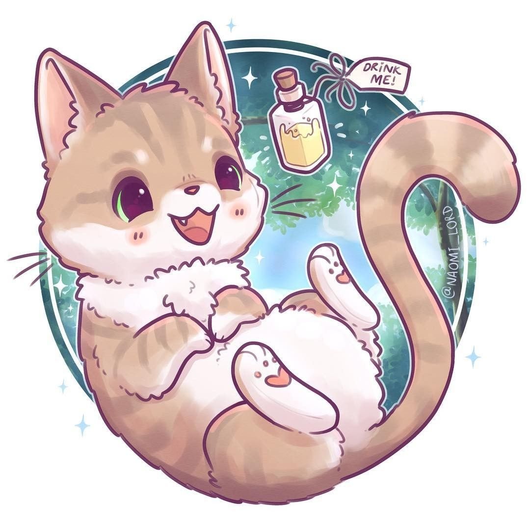 Наоми Лорд котики