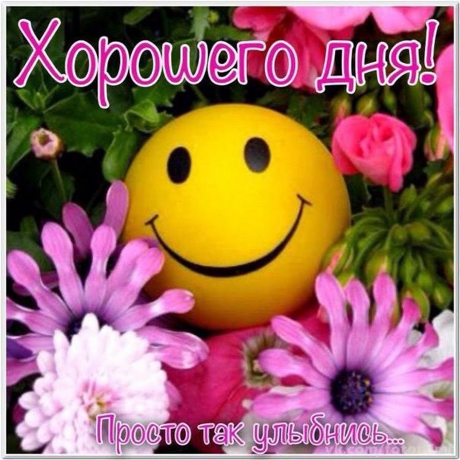 Держать хвост пистолетом