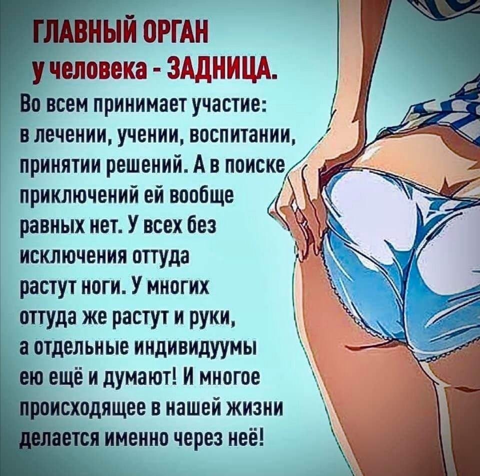 Пушистый Пидрила