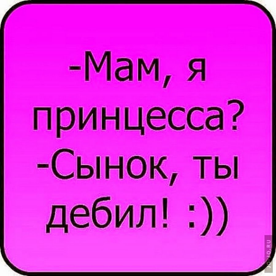 Смешные картинки с котами и надписями для поднятия настроения