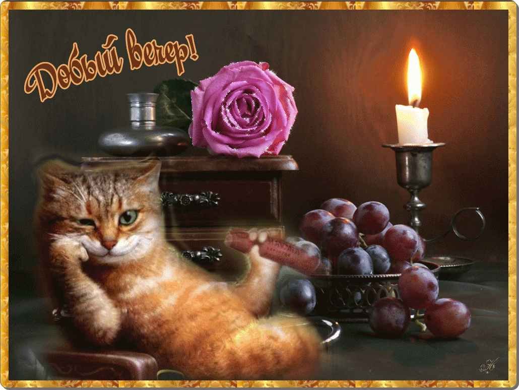Открытки добрый вечер красивые