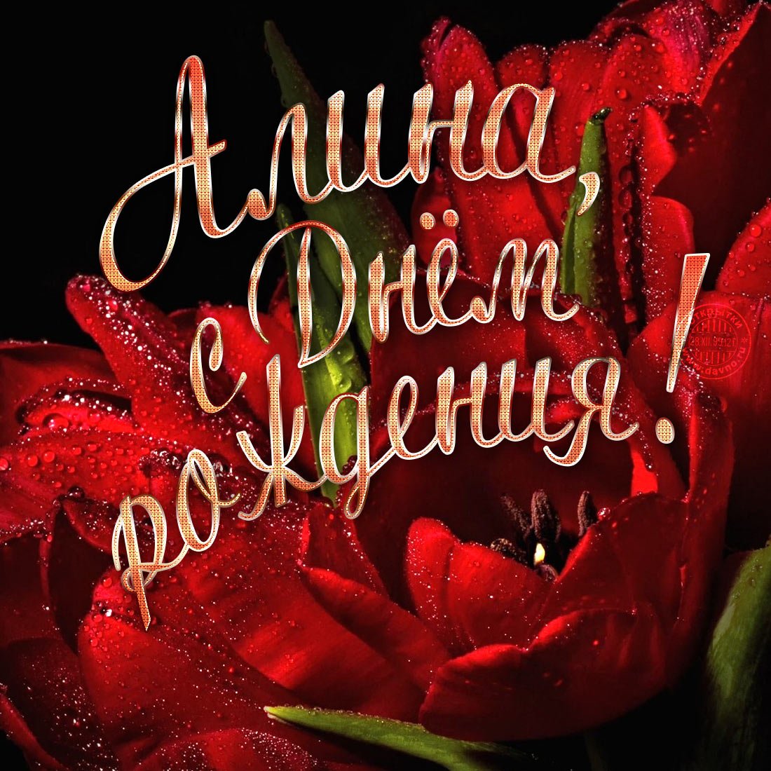 Поздравления с днём рождения анимационные