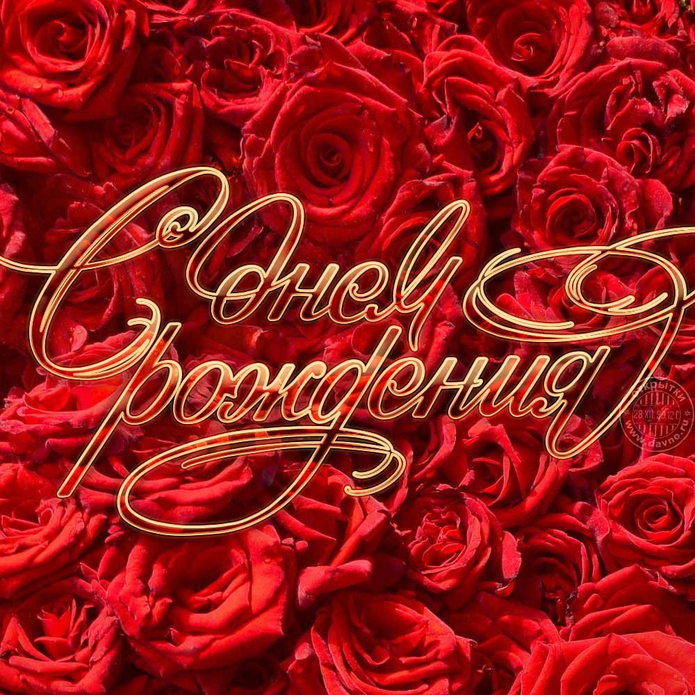 Поздравления с днём рождения Алёне