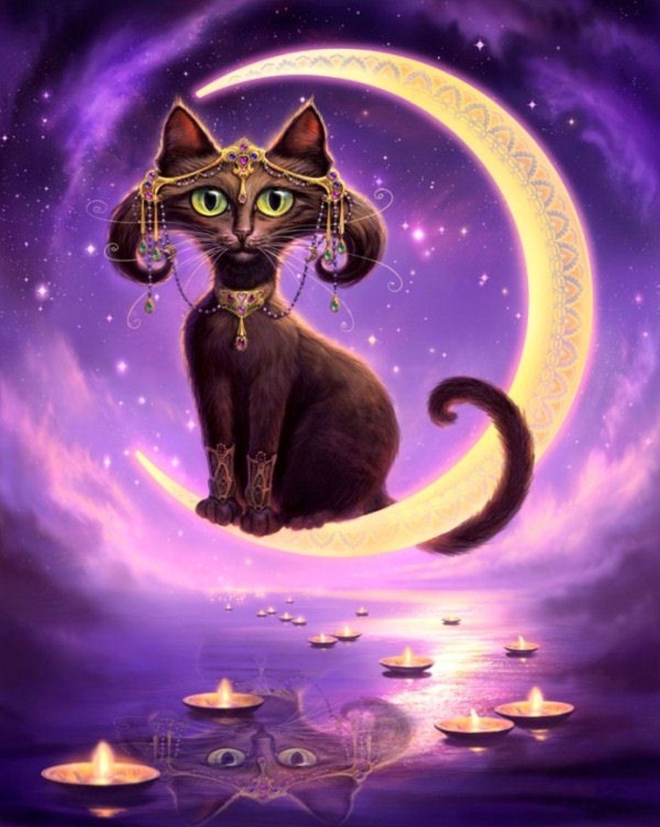 Сказочный черный кот. Волшебные коты Джефф Хейни. Магические кошки. Кошка арт. Лунные кошки.