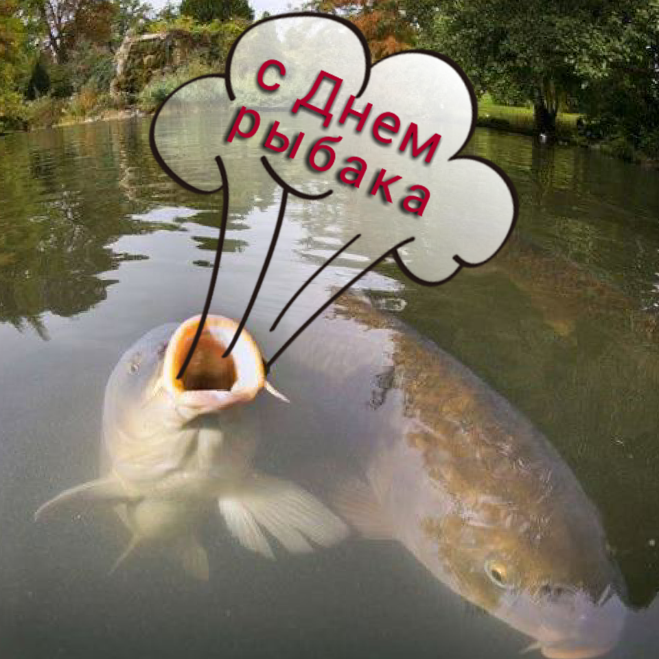 С днём рыболовства поздравления