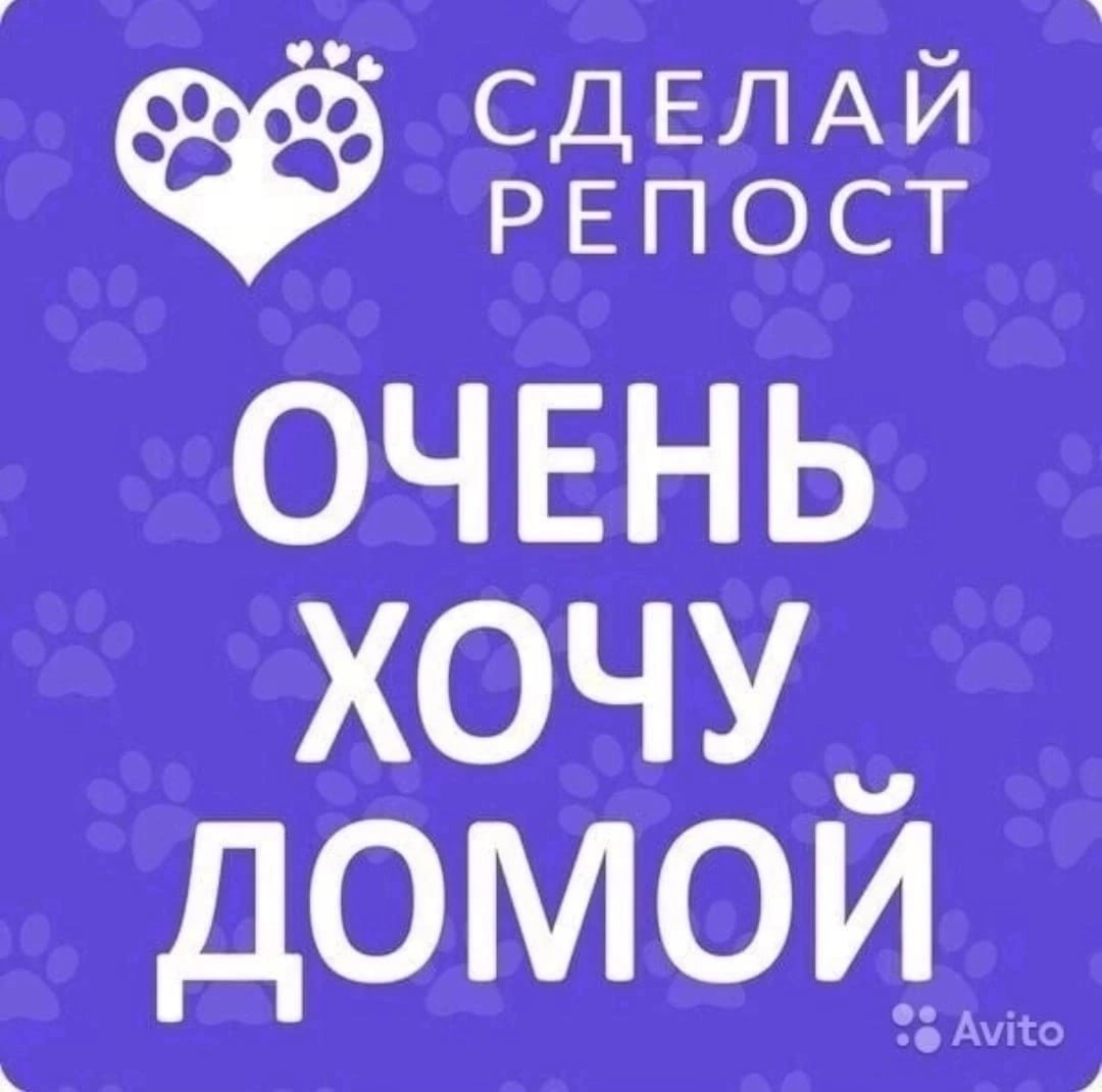 Нужен дом репост