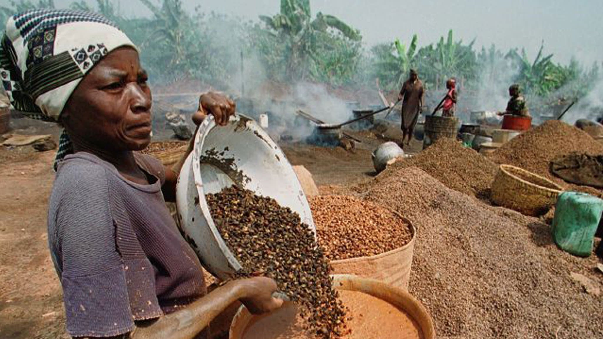 Отрасли восточной африки. Сельское хозяйство центральной Африки. Кофейные плантации в Африке. Либерия сельское хозяйство. Плантации кофе в Африке.