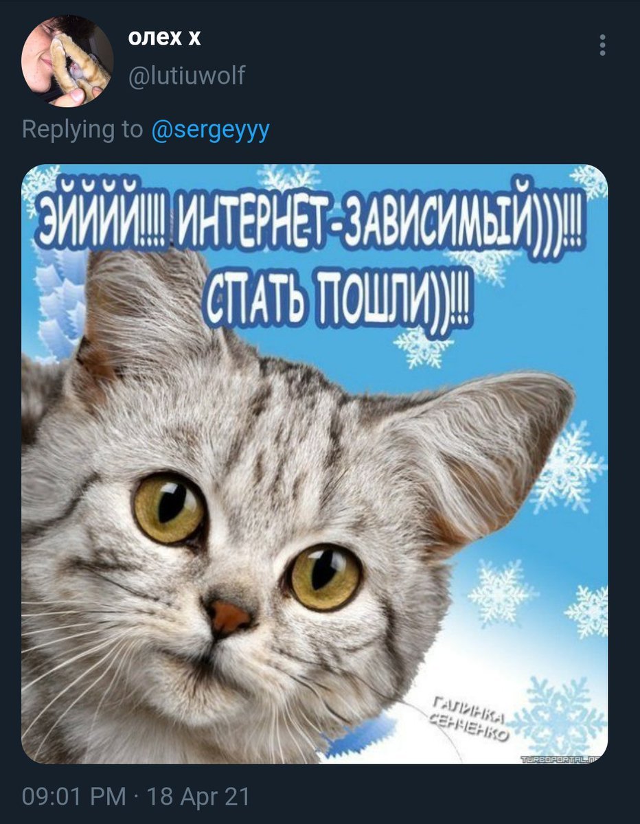 Эй интернет зависимый спать пошли