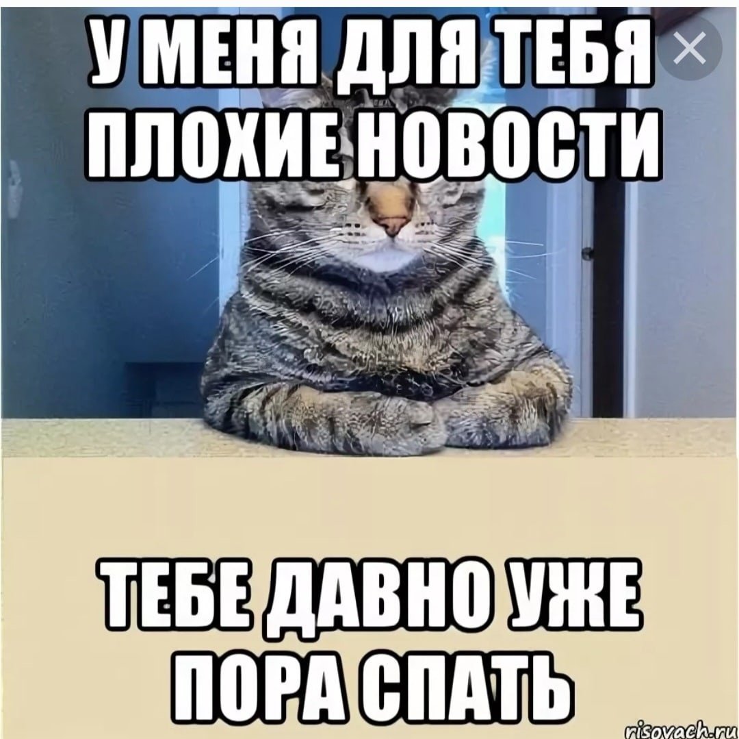 Пора спать картинки прикольные