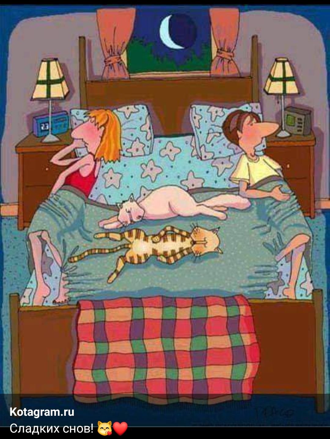 Юмор на ночь