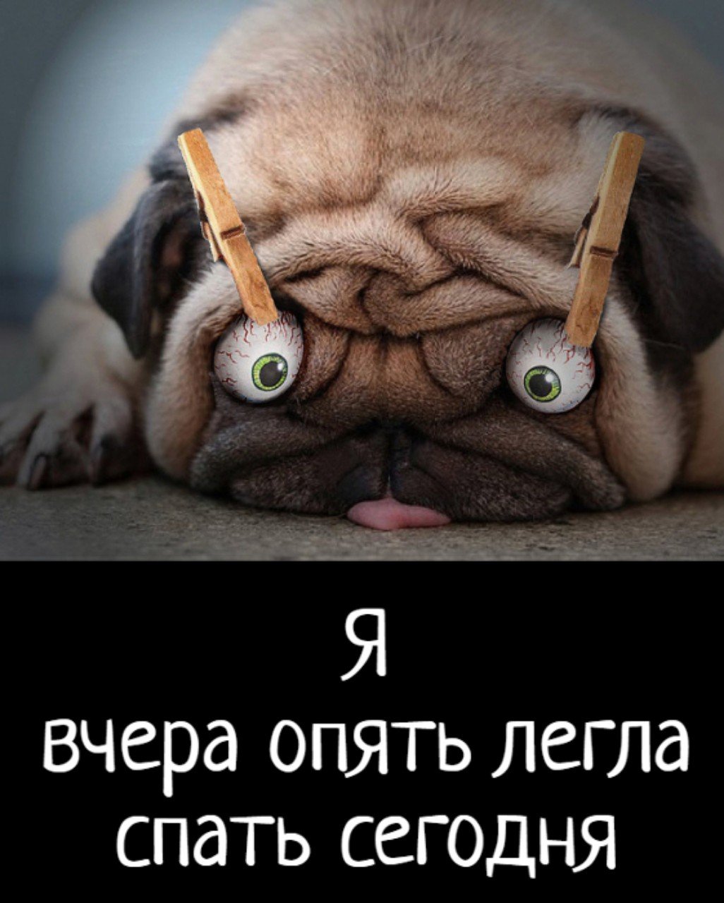 Я вчера опять легла сегодня