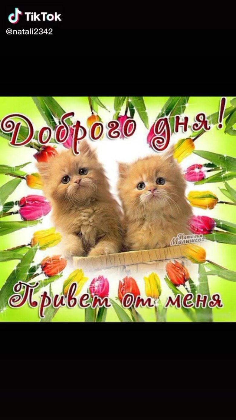 Открытки любимому удачного дня