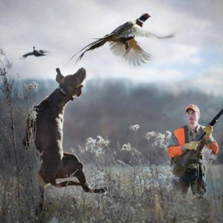 Охотник на уток