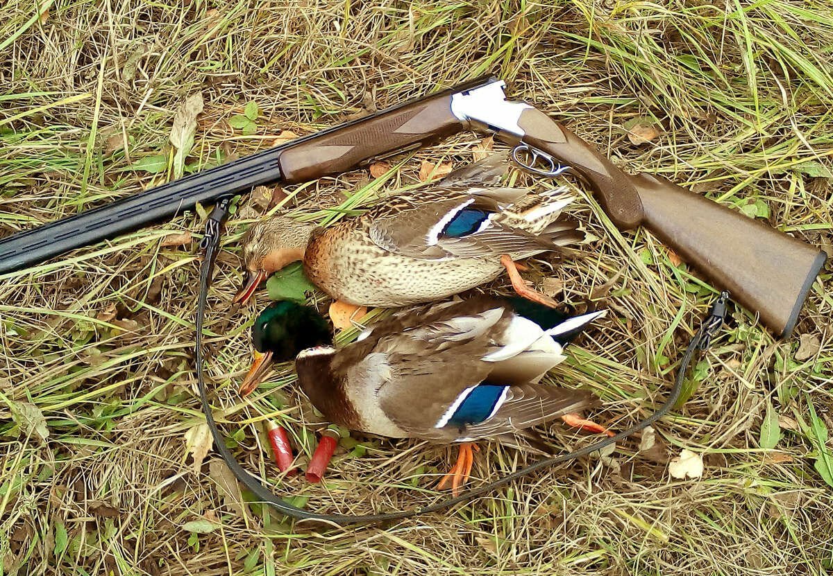 Mossy Oak Duck Blind