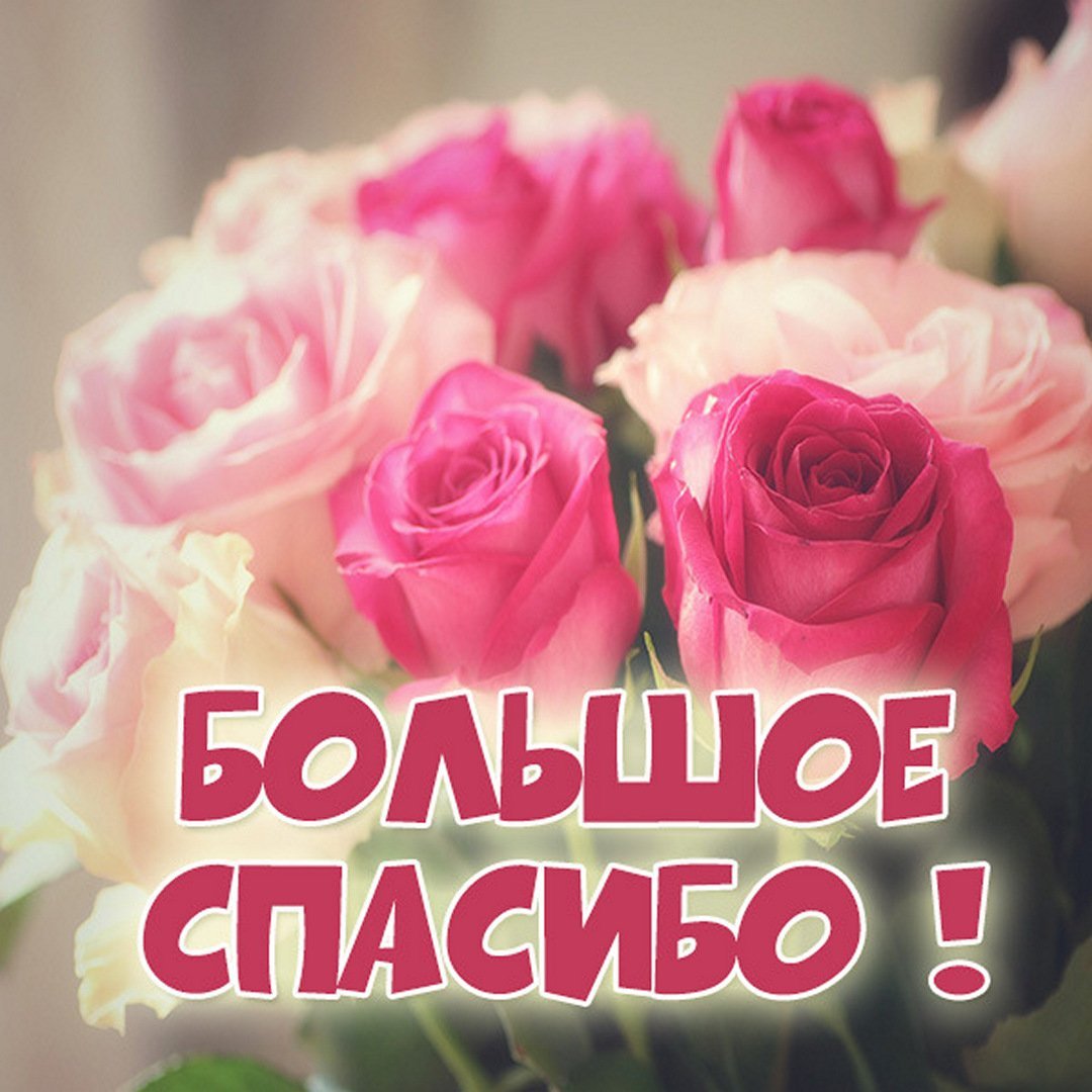 Учитель спасибо за труд