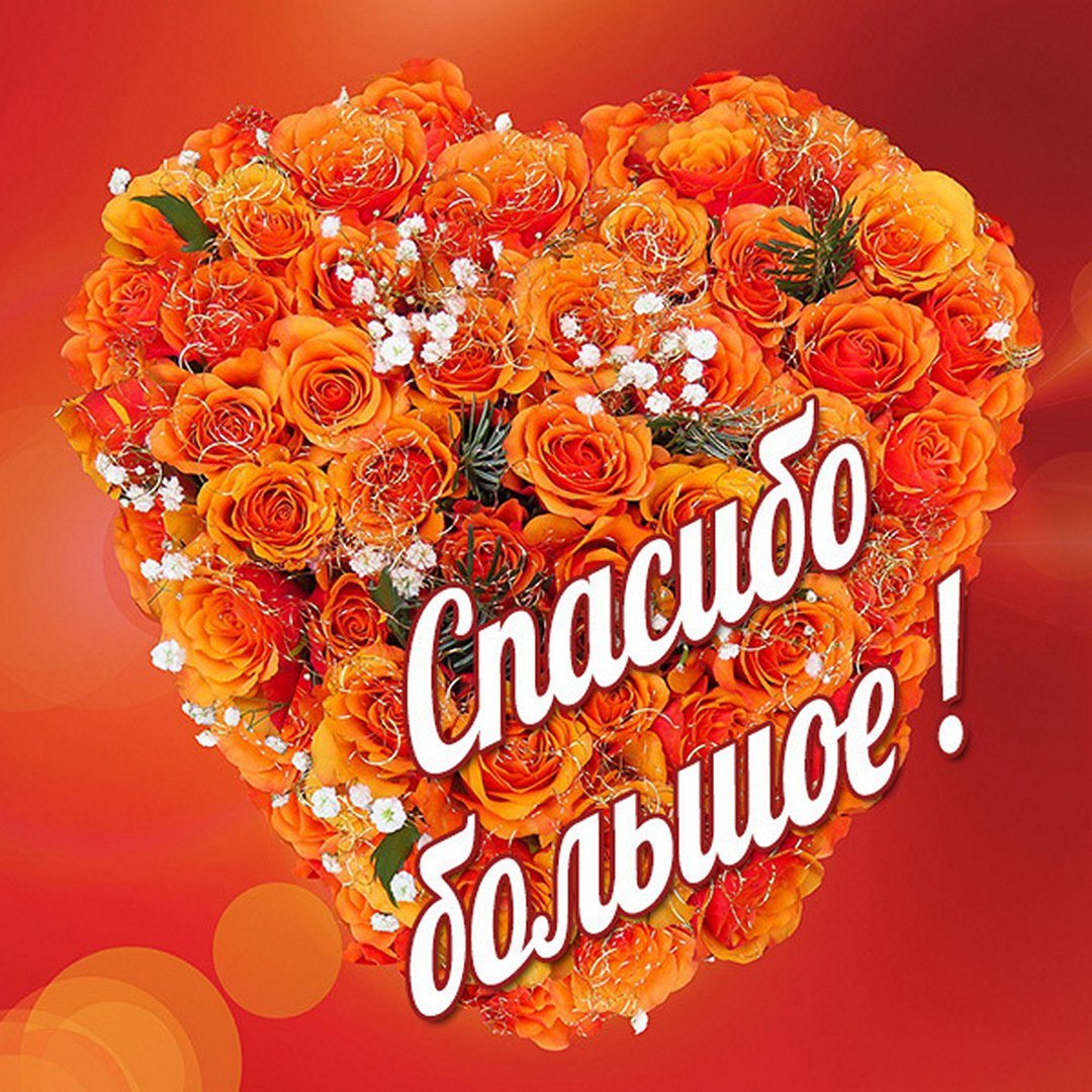 Спасибо за поздравления